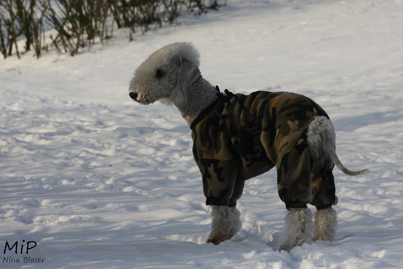 2010-12-03 Svet Snow (1).jpg